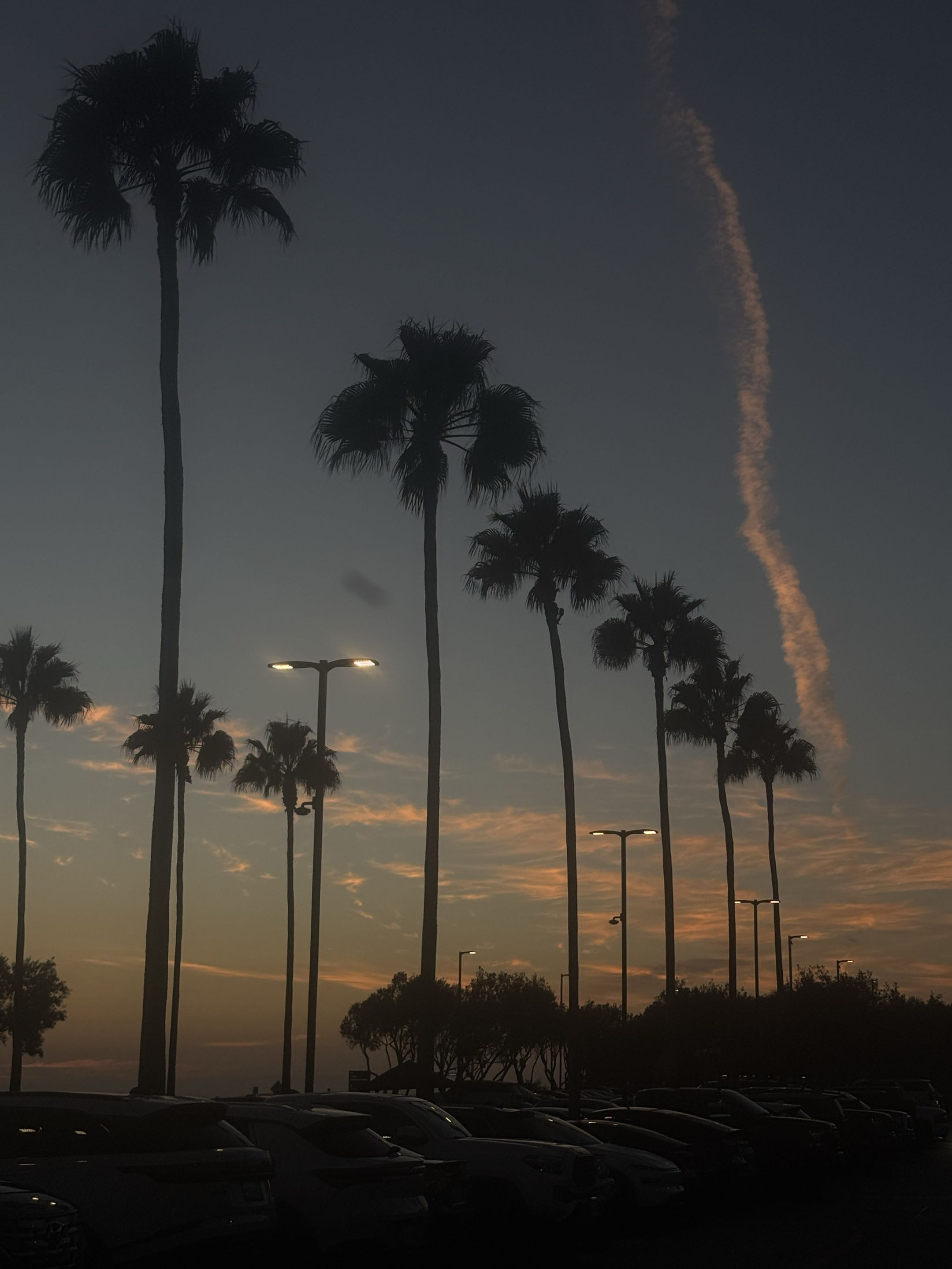 A sunset in Los Angeles